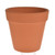 Everyday Terracotta Pot