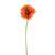 Gerbera Orange