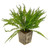 Potted Fern 47Cm