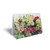 Folded Card Mixed Colour Alstromera - 10 x 7cm - Pack 25