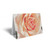 Folded Card Peach Rose - 10 x 7cm - Pack 25