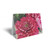 Folded Card Dark Pink Chrysanthemum - 10 x 7cm - Pack 25