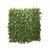 Green Plant Wall - 50 x 50cm