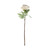 Peony Cream Single Stem