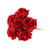 Foam Tea Rose Blood Red X 6