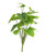 Plant House Philo 46cm 