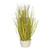 Grass Green With Ceramic Pot 26cm