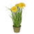 Crysanthemum And Grass Yellow With Pot 46cm