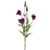 Olivia Lisianthus Spray Purple 78Cm