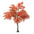 Japanese Maple Tree Red 2.8M
