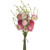 STRAWFLOWER BUNDLE PINK 40CM