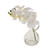 Orchid Cream In Glass Vase 23cm