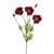 Olivia Poppy Spray Burgundy 75Cm