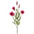 Olivia Lisianthus Spray Burgundy 78Cm