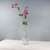 Astrantia Flowers Mauve 50Cm