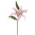 Casablanca Lily Pink 15"