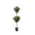 Olive Double Ball Tree 4'