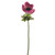 ANEMONE SINGLE STEM PINK 35CM