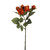 Rose x5 Spray Orange 37cm