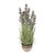 Lavender Grass Purple With Ceramic Pot 72cm