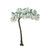 Wisteria Tree Cream 3.2M