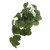 Plant House Trailing Cyclamen 40cm 