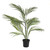 Potted Areca Palm 84Cm