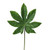 Leaf Aralia 38Cm