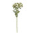 Euphorbia Spray - 46cm