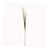 Wild Grass Cat Tail 94cm