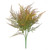 Essential Asparagus Fern  - Brown