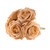 Foam Open Tea Rose Cream Gold X 5