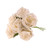 Foam Tea Rose Ivory X 6