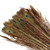 Basic Peacock Feather Lbl L100-110 Natural