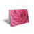 Folded Card  Pink Rose