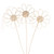 Rattan Flower Bleached 25Cm