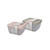 Plastic Container - 2pc Set