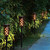 Set of 5 Solar Flame Lights Battery Powered 42.5cm