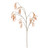 Alder Tree Spray Russet 121cm