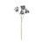 Anethum Spray Black 81cm