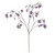 Silver Dollar Spray Pink 110cm