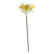 Essential Mini Daffodil x3 Heads - White