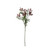 Essential Broom Bloom - Lavender
