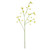 Cornus Mas Tree Flower Yellow - 75cm