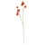 Cushaw Spray - 97cm