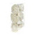 Thai Rose Lrg Assted Sizes Ivory Boxed
