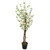Potted Blossom Tree Crm 120Cm