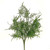 Asparagus Fern Bush 47Cm