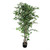 Potted Ficus Tree Green 152Cm