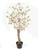 Potted Blossom Tree Pink 120Cm